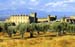 oropesa-t1