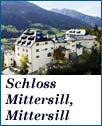 schloss mittersill