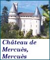 chateau de mercues