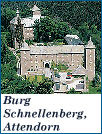 burg schnellenberg