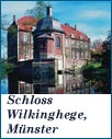 schloss wilkinghege