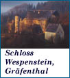 schloss wespenstein